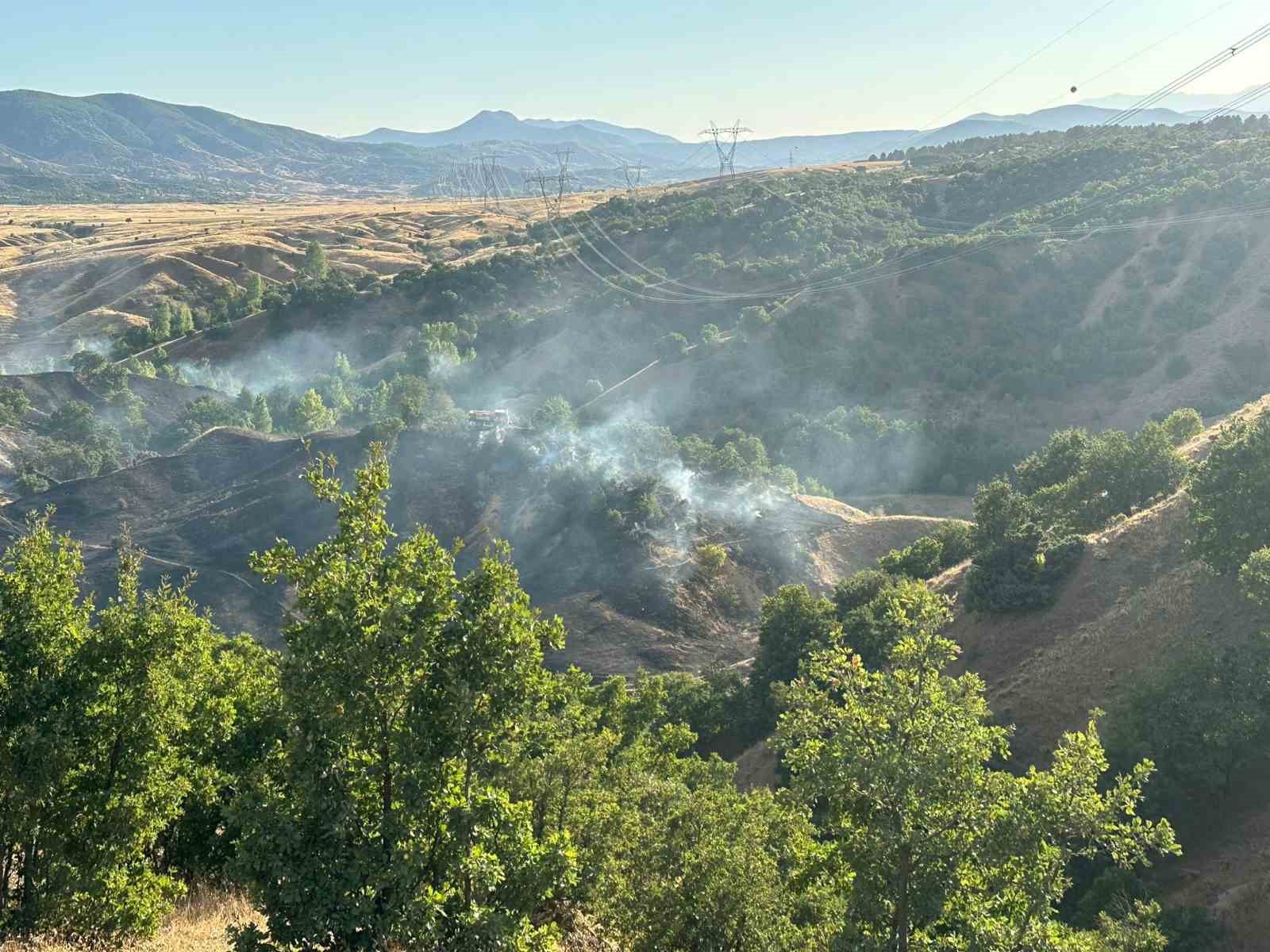 Bingöl’de orman yangını büyümeden söndürüldü
