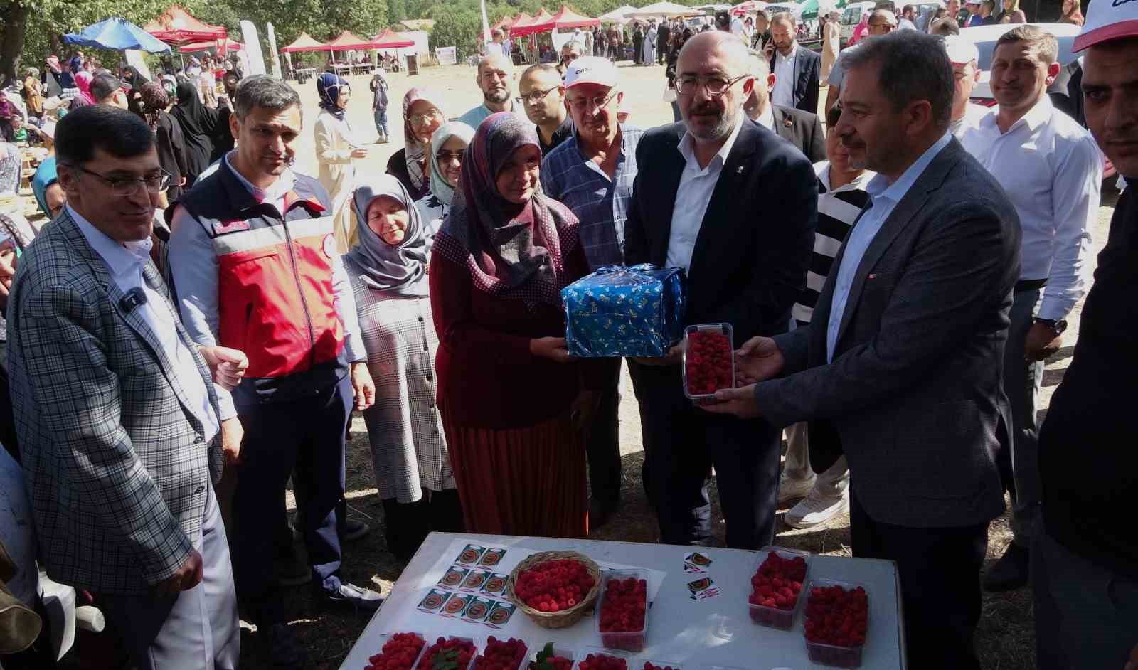 Kütahya’da ’Ahududu Şenliği’ renkli görüntüler oluşturdu
