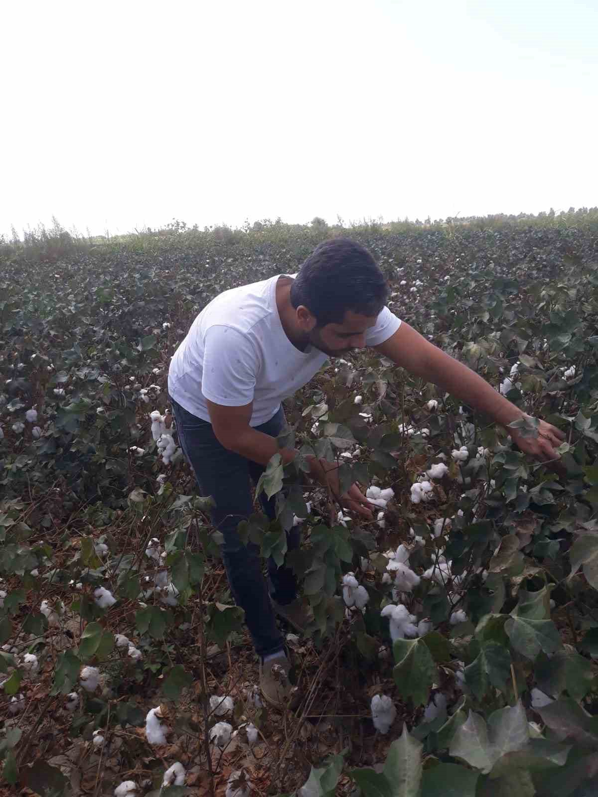 Söke’de tarımsal zararlılarla mücadele kapsamında yoğun denetim
