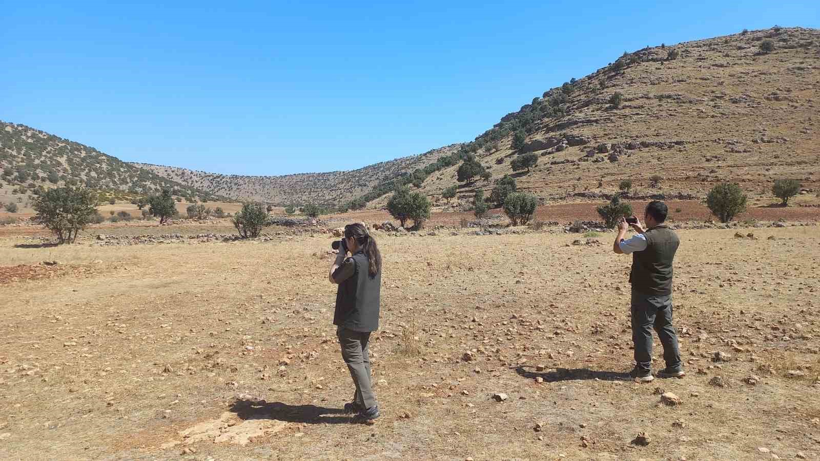 Şırnak’ta kaçak avcılığa karşı ekipler denetimlere devam ediyor
