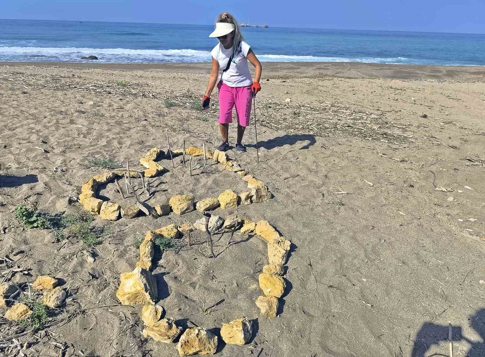 Alanya’da koparılması 387 bin TL ceza olan kum zambakları koruma altına alındı
