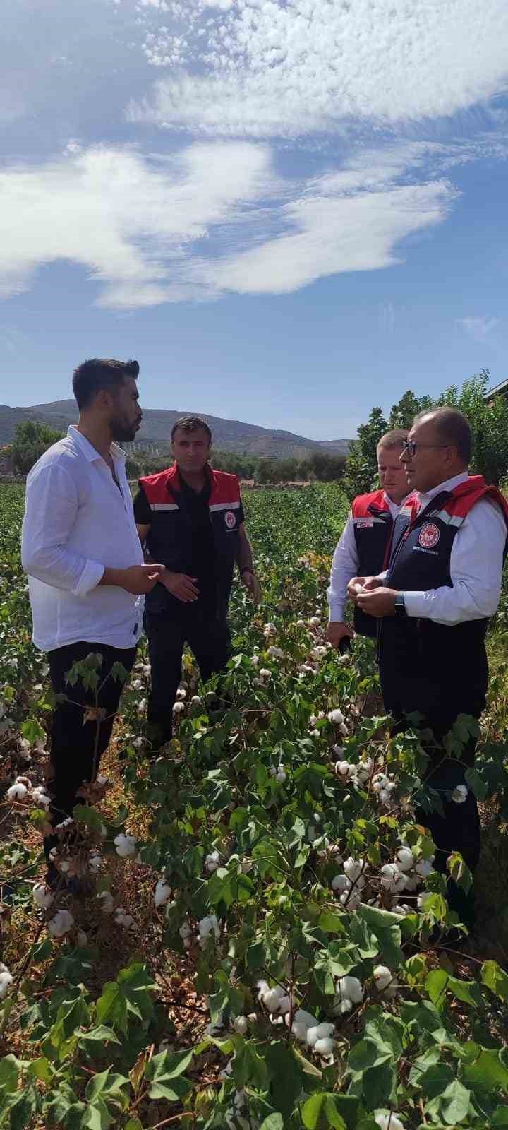 Didim’de üretim alanları kontrol edildi
