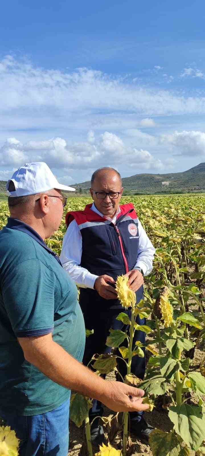 Didim’de üretim alanları kontrol edildi
