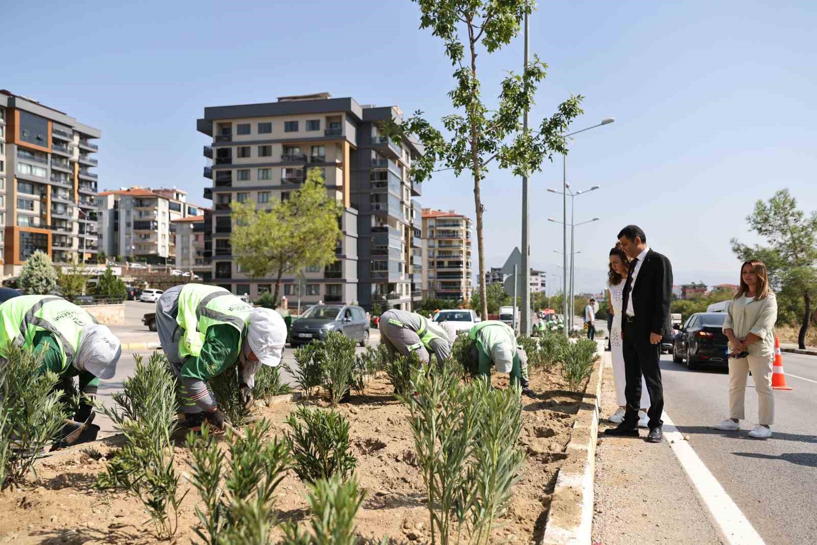 Denizli’de susuzluğa dayanıklı yeşil bitki dönemi başlıyor
