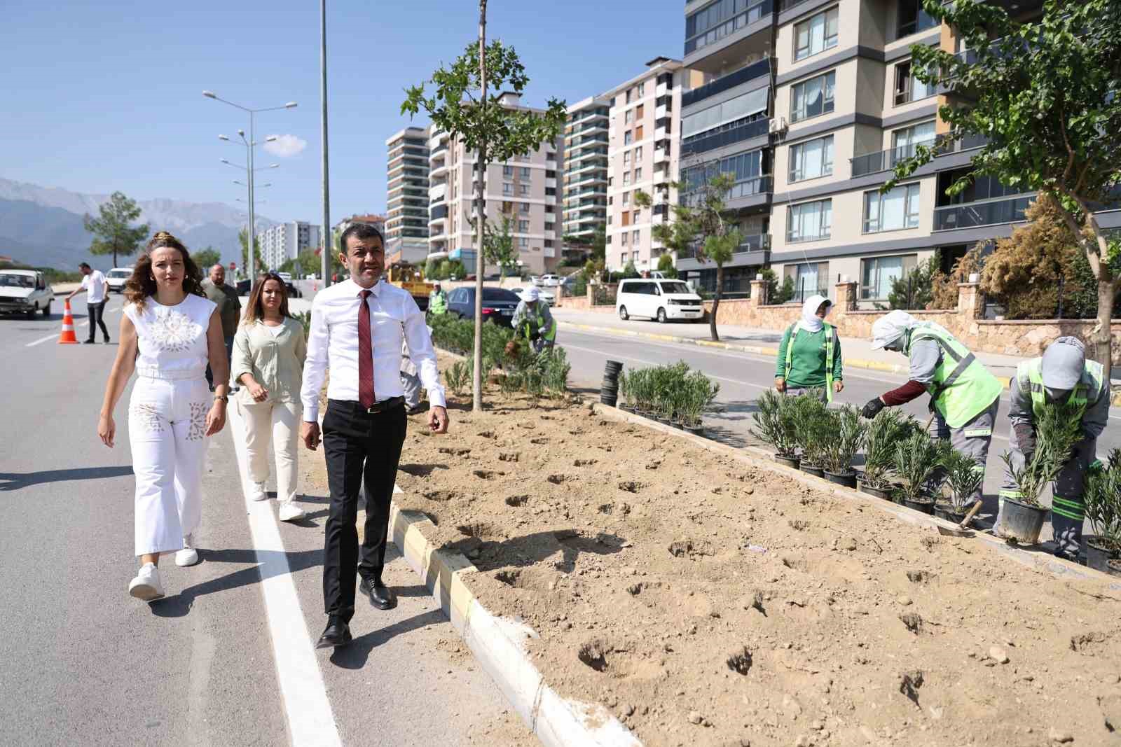 Denizli’de susuzluğa dayanıklı yeşil bitki dönemi başlıyor
