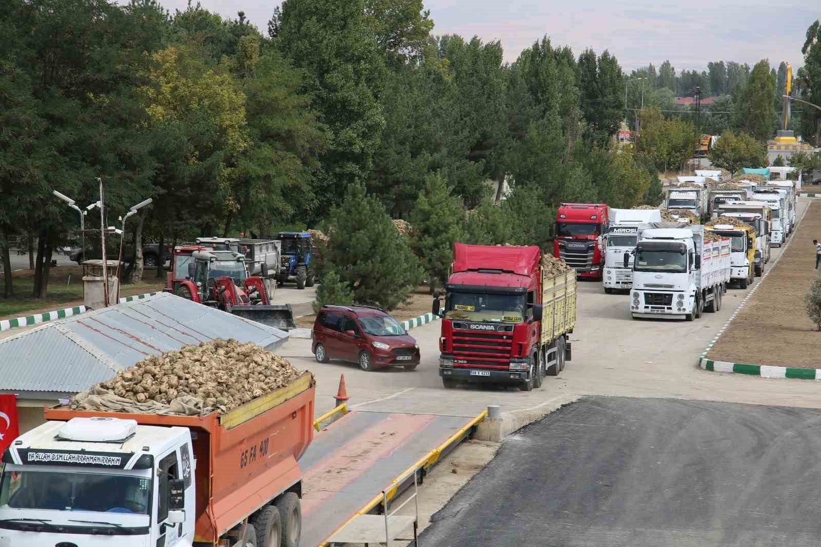 Muş ekonomisine 2 milyar 500 milyon lira katkı sağlayacak şeker pancarı alımı başladı
