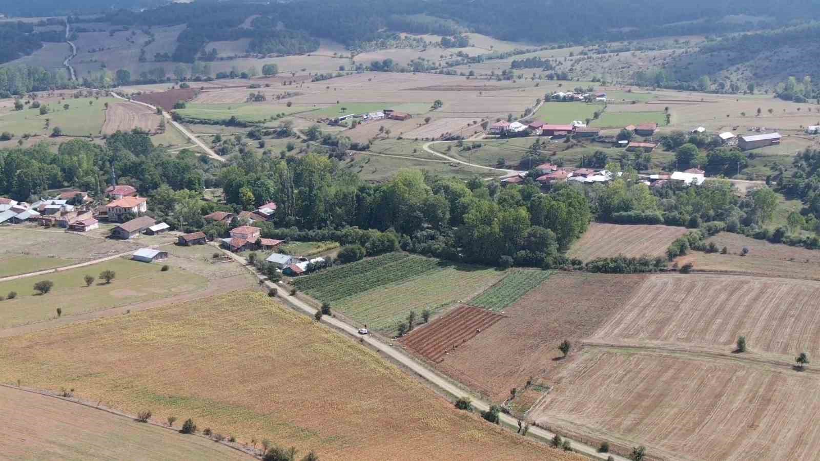 Deneme amaçlı böğürtlen dikti, şimdi siparişlere yetişemiyor
