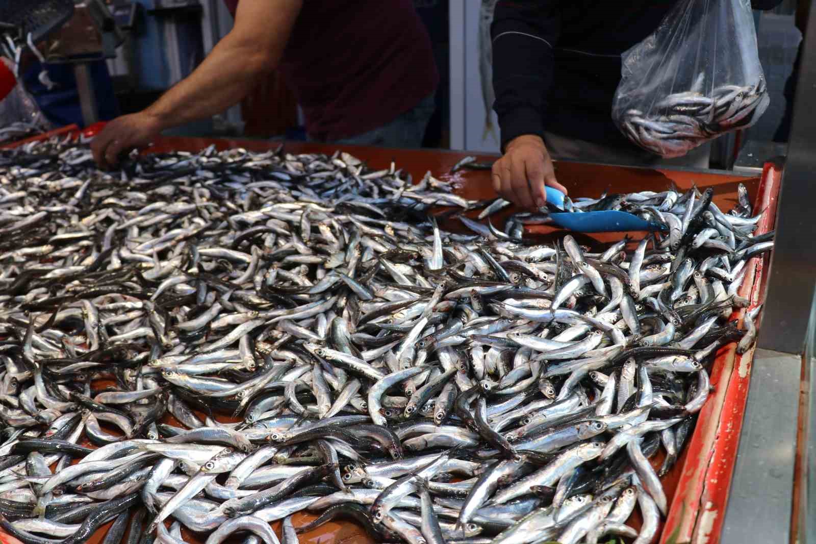 Bolu’da hamsinin fiyatı 50 lira birden düştü
