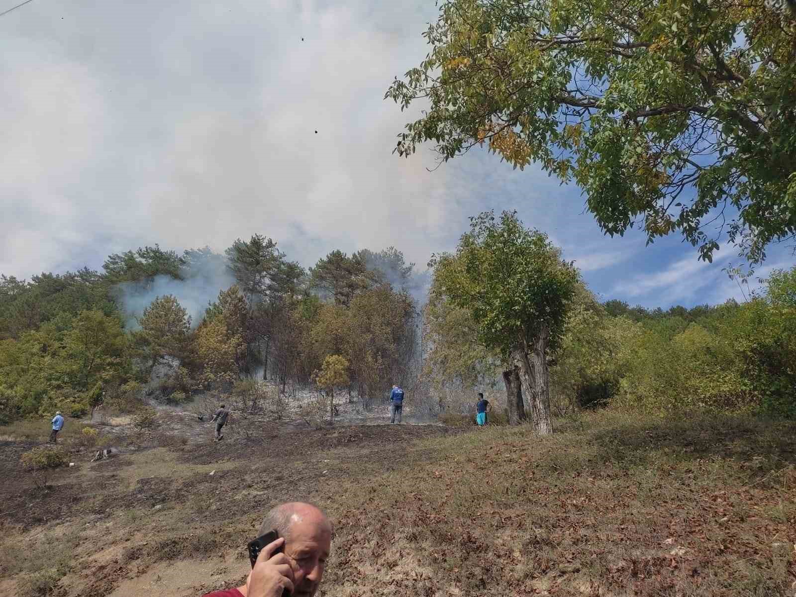 Karabük’te çıkan yangında 15 dönüm alan zarar gördü
