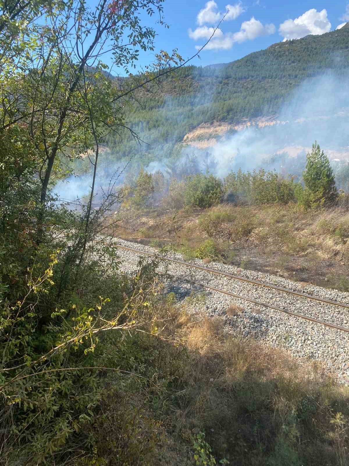 Karabük’te çıkan yangında 15 dönüm alan zarar gördü
