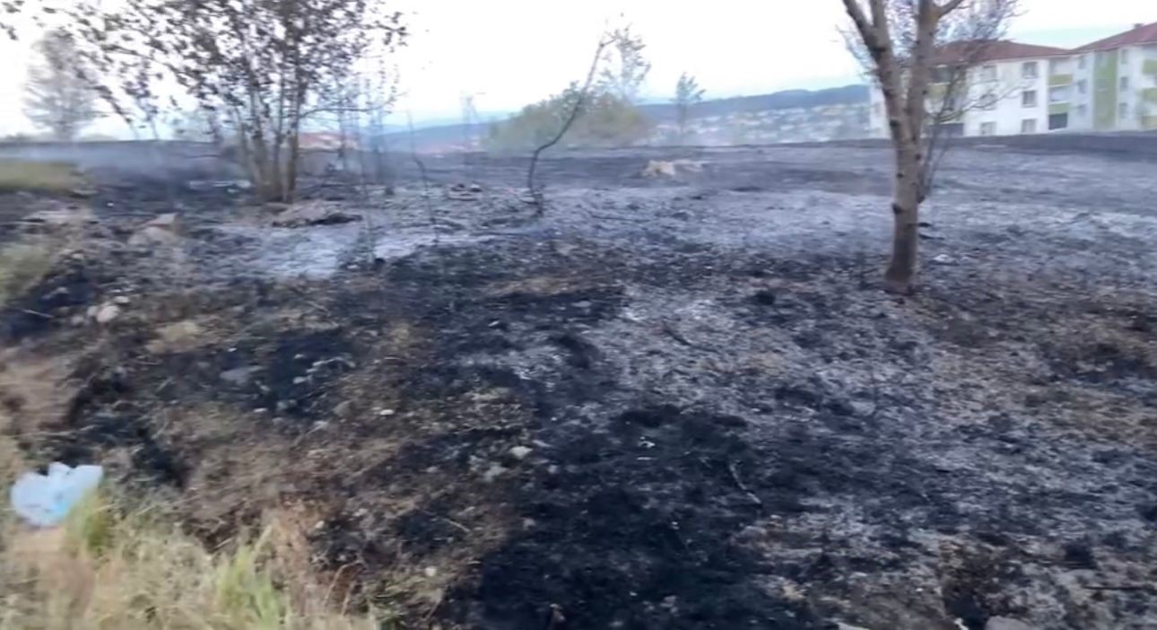 Sakarya’da korkutan yangın: Mahalleli sokağa döküldü
