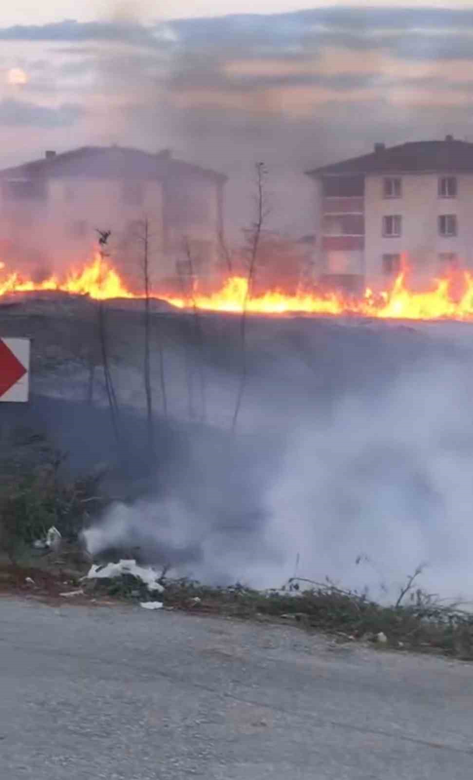 Sakarya’da korkutan yangın: Mahalleli sokağa döküldü
