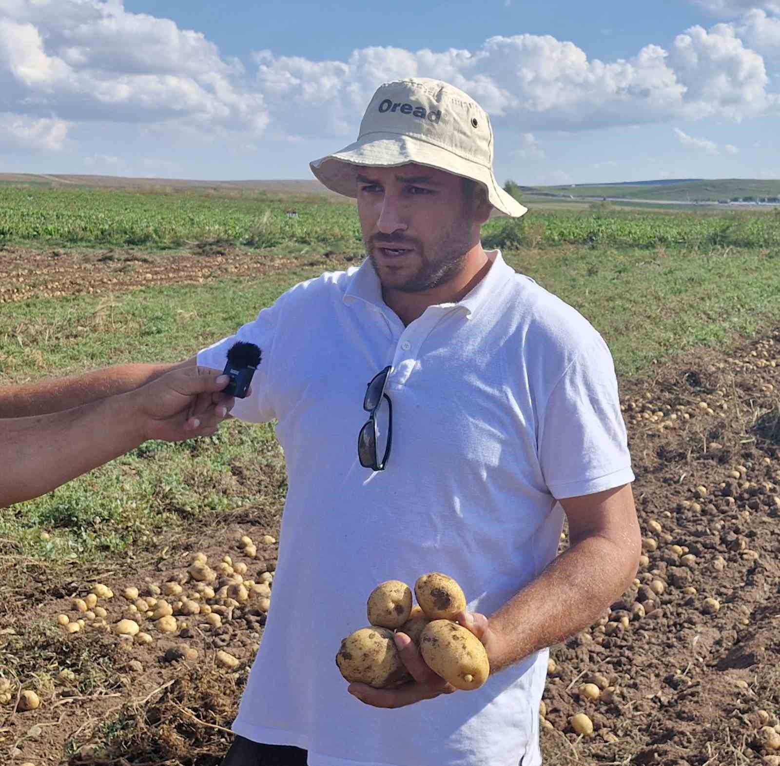 Satamadığı patatesleri halka ücretsiz dağıttı
