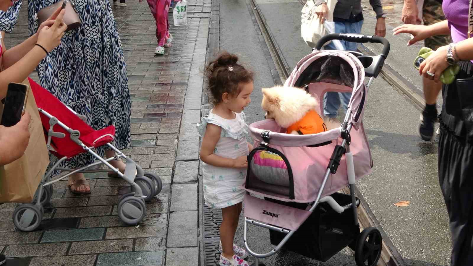 Taksim Meydanı’nda bebek arabasında gezdirilen köpek ilgi odağı oldu
