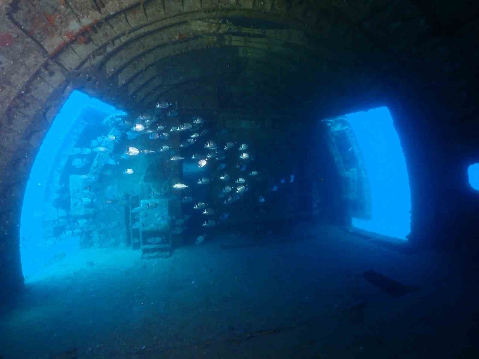 Aydın Büyükşehir Belediyesi’nin uçak batığı bölge turizmine can suyu oluyor
