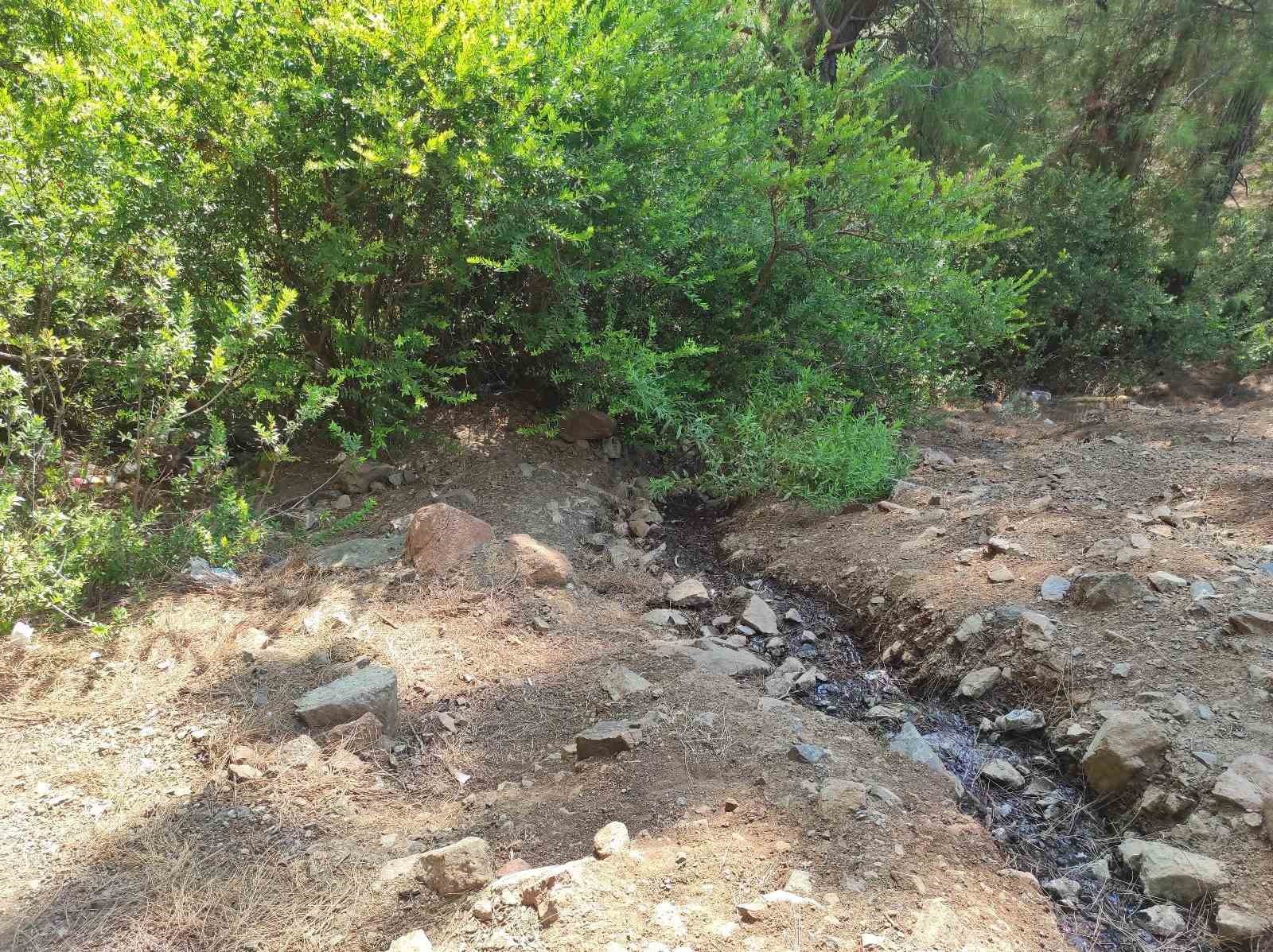 Fethiye’de ormana bırakılan bebekle ilgili 2 şüpheli tutuklandı
