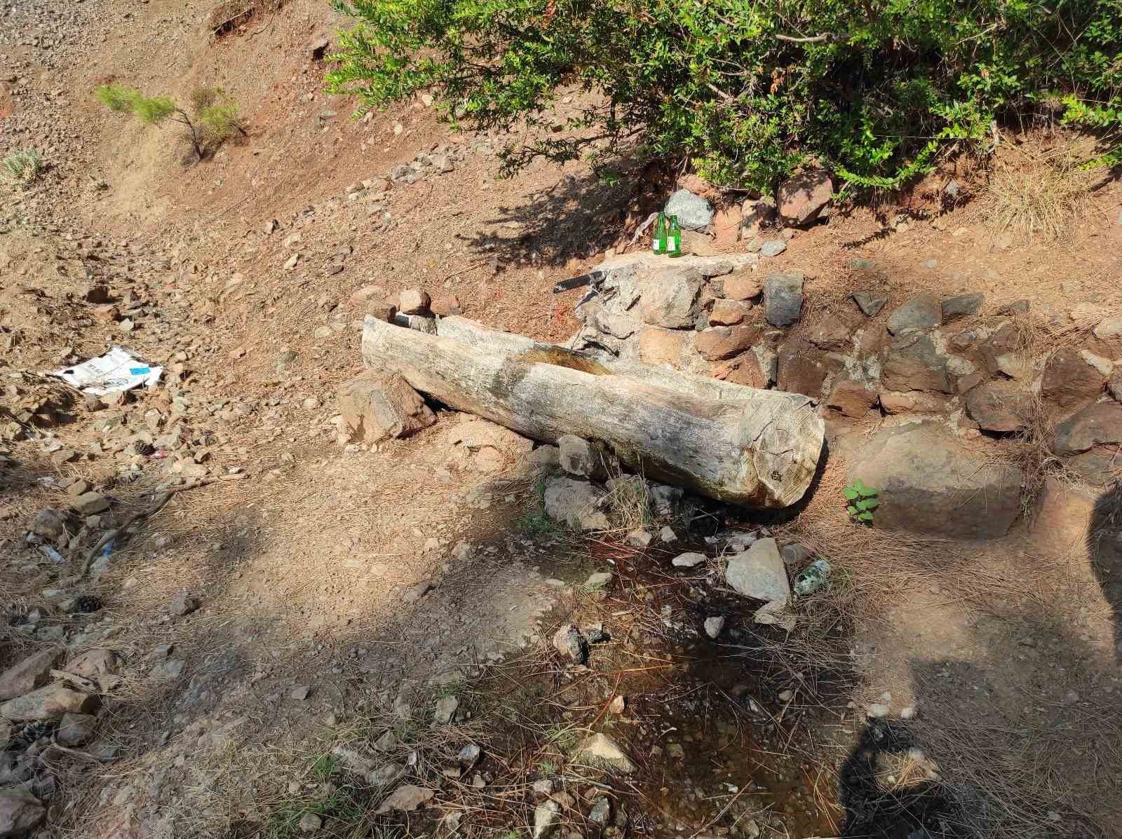 Fethiye’de ormana bırakılan bebekle ilgili 2 şüpheli tutuklandı
