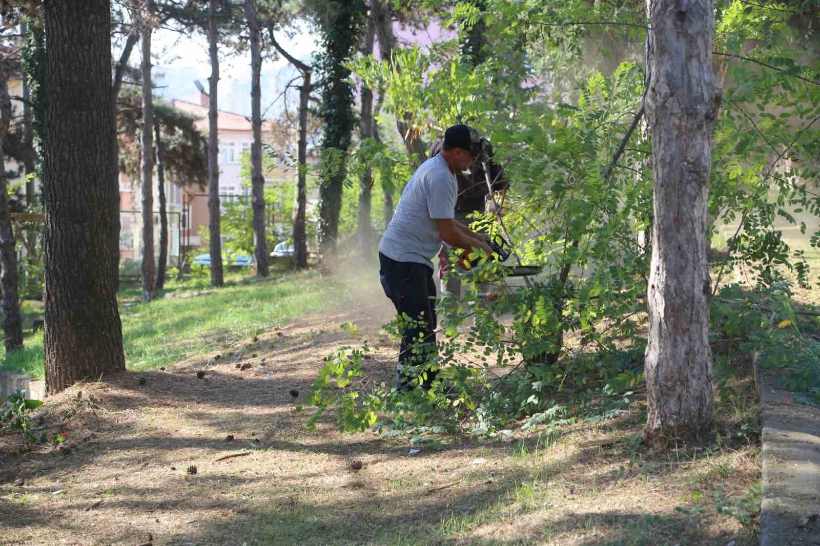 Serdivan’da yeşil alanlar daha bakımlı hale geliyor
