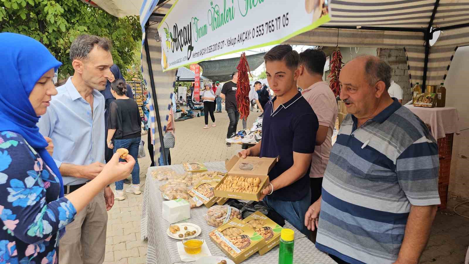 Karacasu’nun Yaykın İnciri, festivalle tanıtıldı
