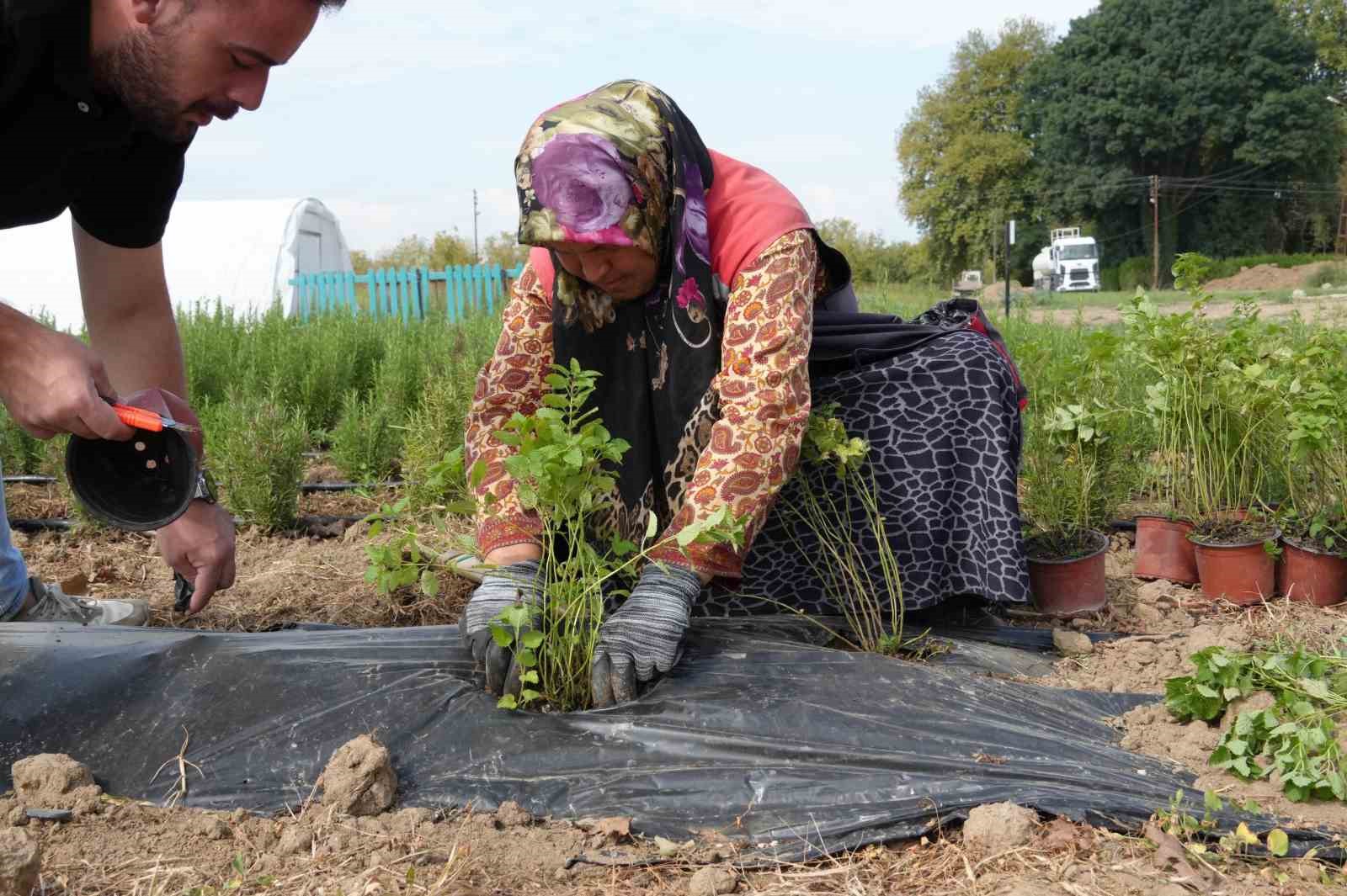 Düzce’de tarımda yenilikçi adımlar
