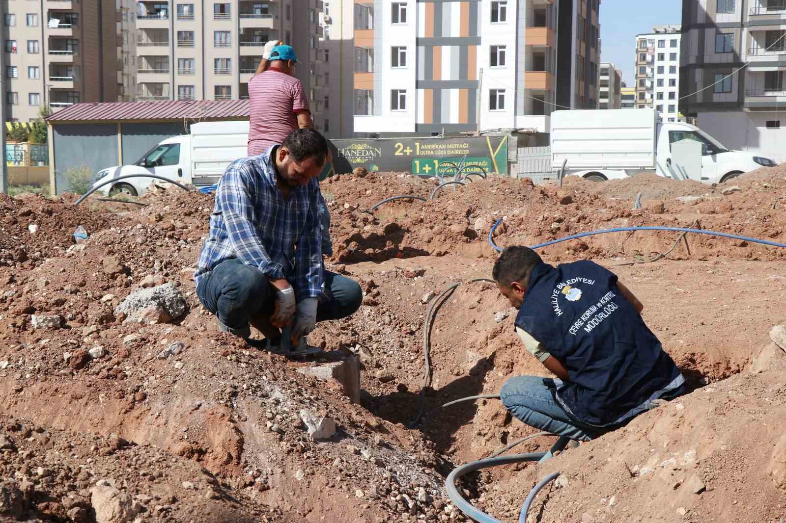 Haliliye’de yeşil alan çalışması
