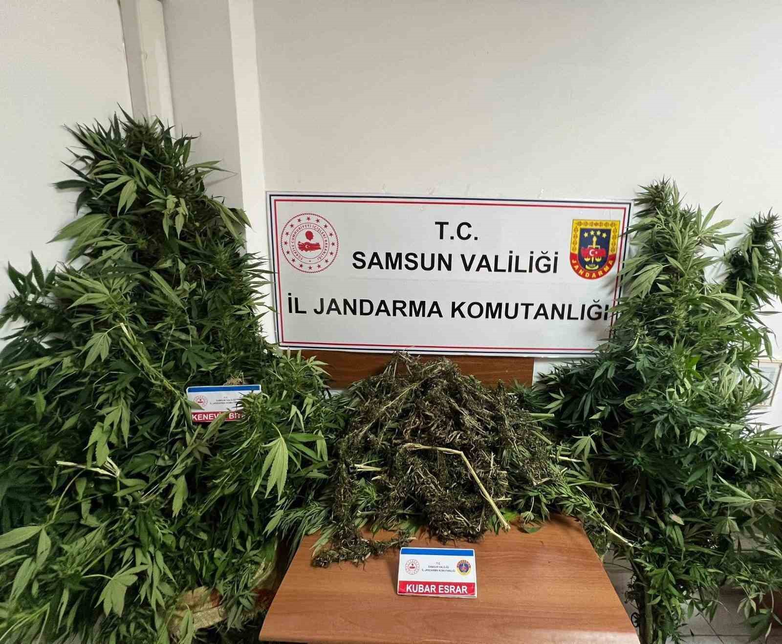 Samsun’da 7 kilo esrarla yakalanan şahıs adliyeye sevk edildi
