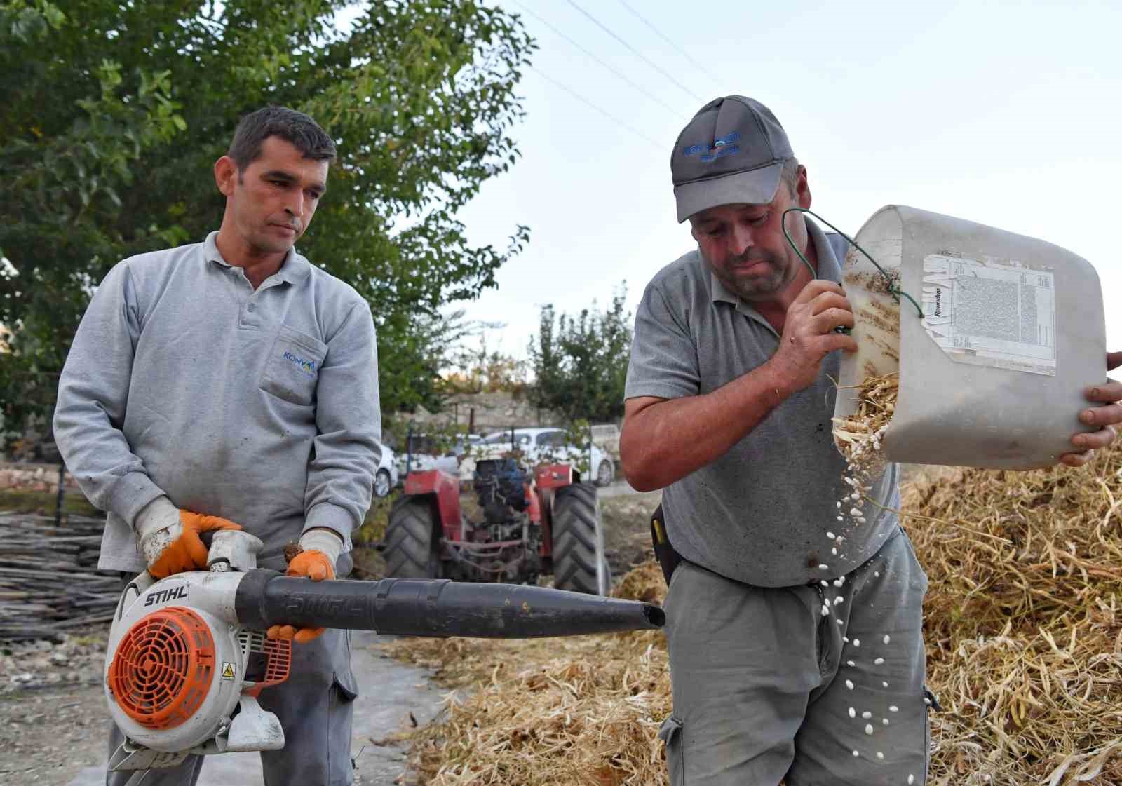 Çandır fasulyesi için yayla şenliği düzenlenecek
