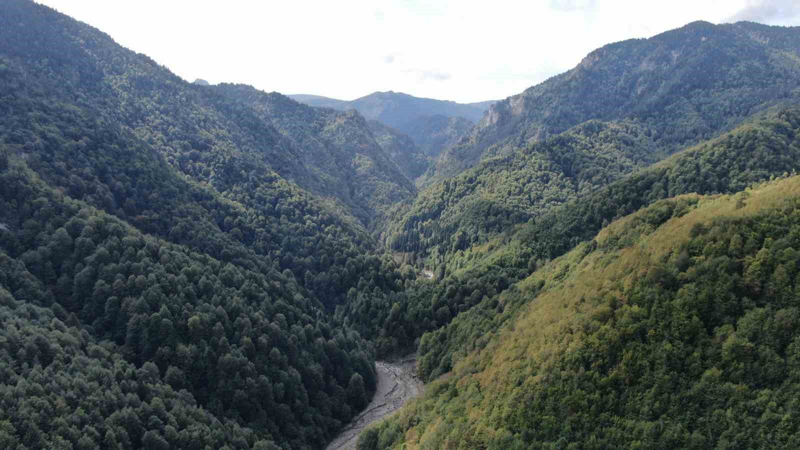 Maden ararken mahsur kalan madenciler 19 saat sonra helikopterle kurtarıldı
