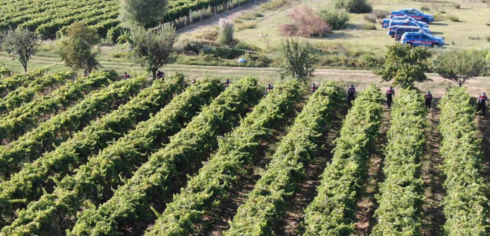 Manisa’da korkunç olay: Çiftçi öldürüldü, 2 kişi tutuklandı
