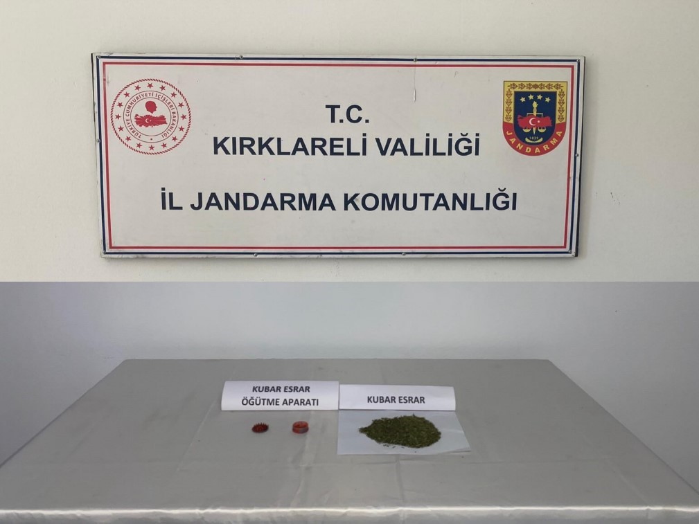 Kırklareli’nde kaçakçılık operasyonları: 9 gözaltı
