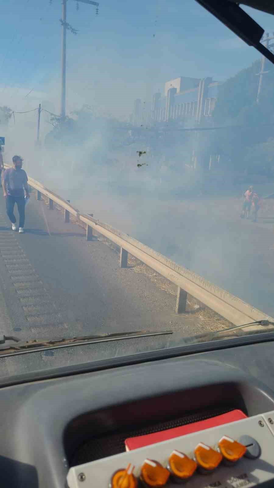 Yol kenarına atılan sigara izmariti yangın çıkardı
