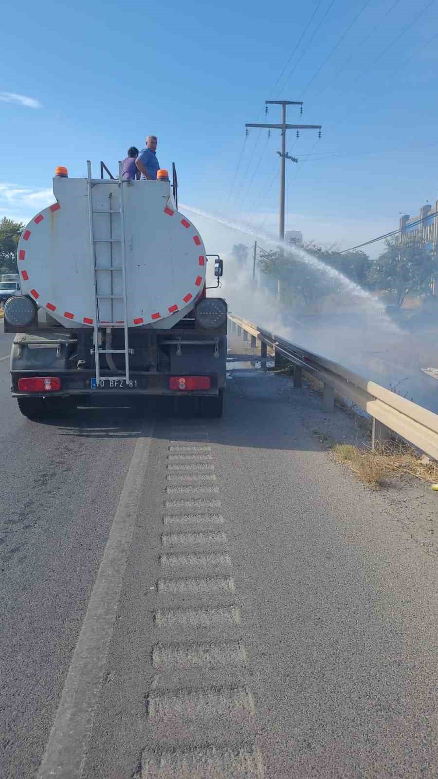 Yol kenarına atılan sigara izmariti yangın çıkardı
