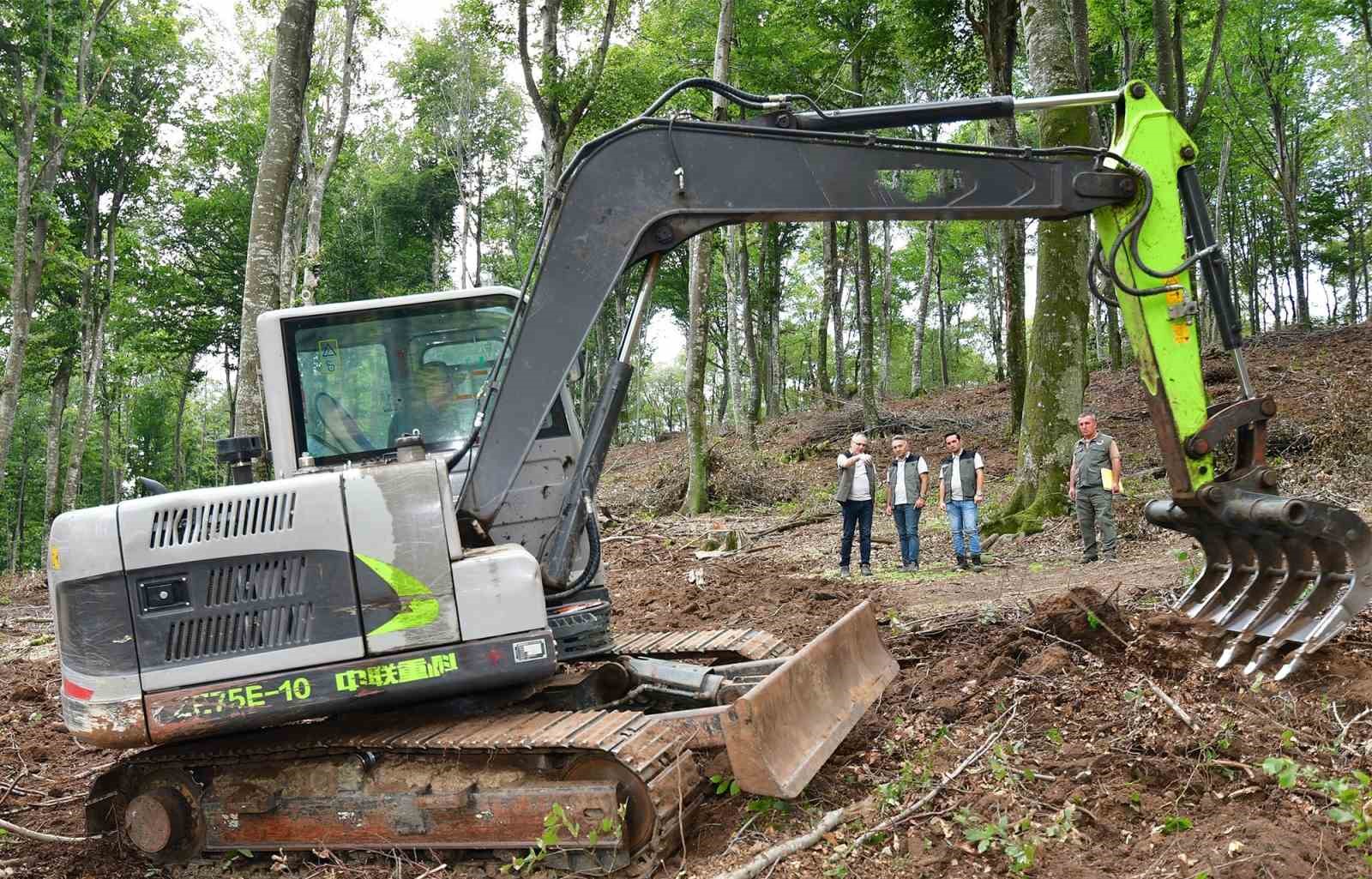 Balıkesir’de kayın ormanlarından bereket yağıyor
