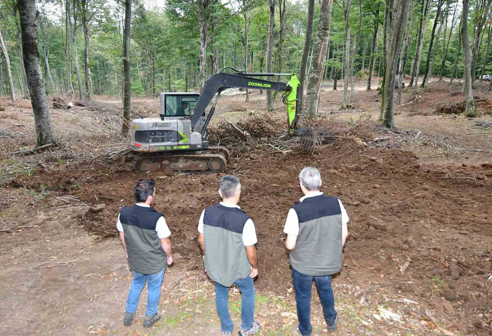 Balıkesir’de kayın ormanlarından bereket yağıyor
