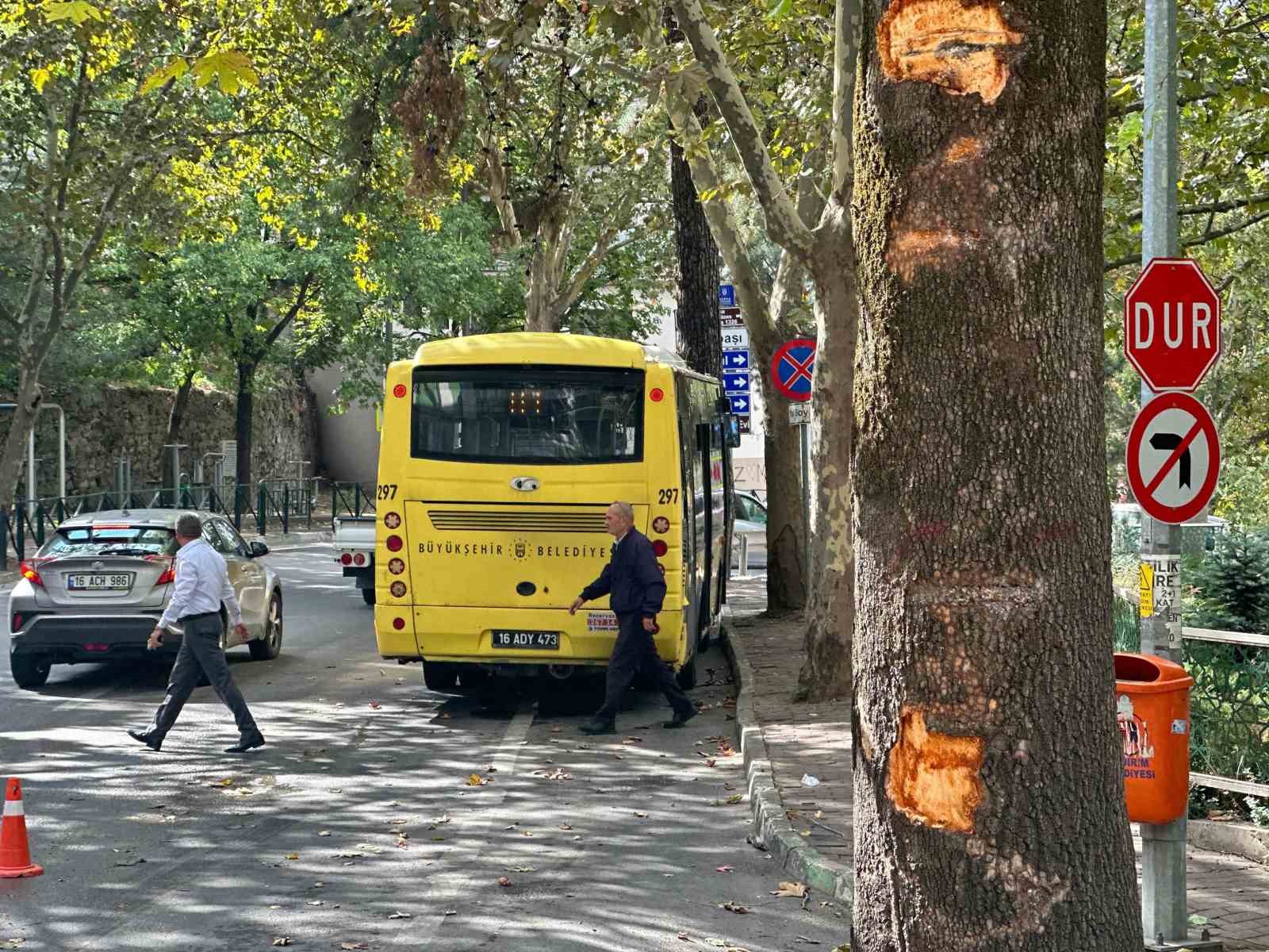 Bursa’da otobüs kazasında can pazarı...Belediye otobüsü ağaca çarptı, yolcu camdan fırladı
