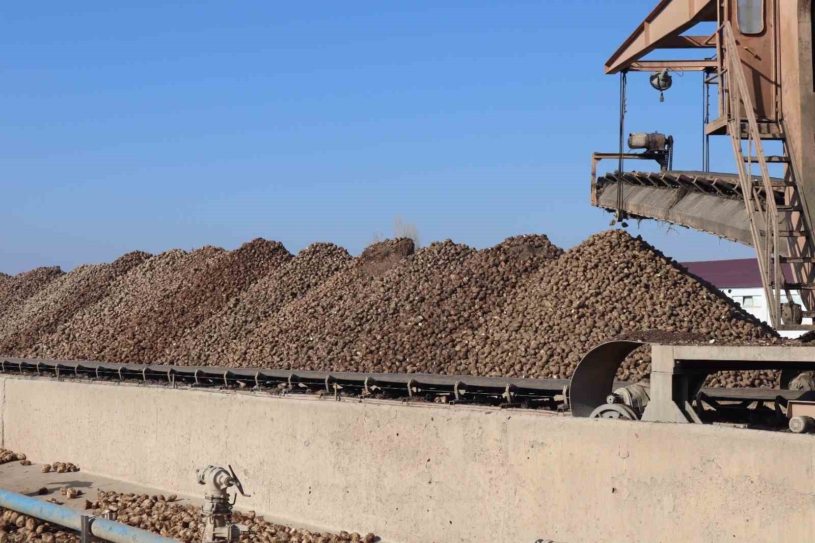 Malatya Şeker Fabrikası’nda hedef 55 bin ton şeker üretimi
