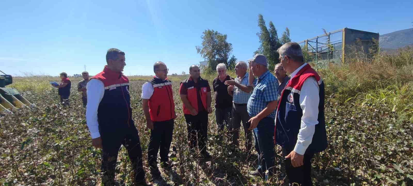 AB tescilli Söke Pamuğu hasadı sürüyor
