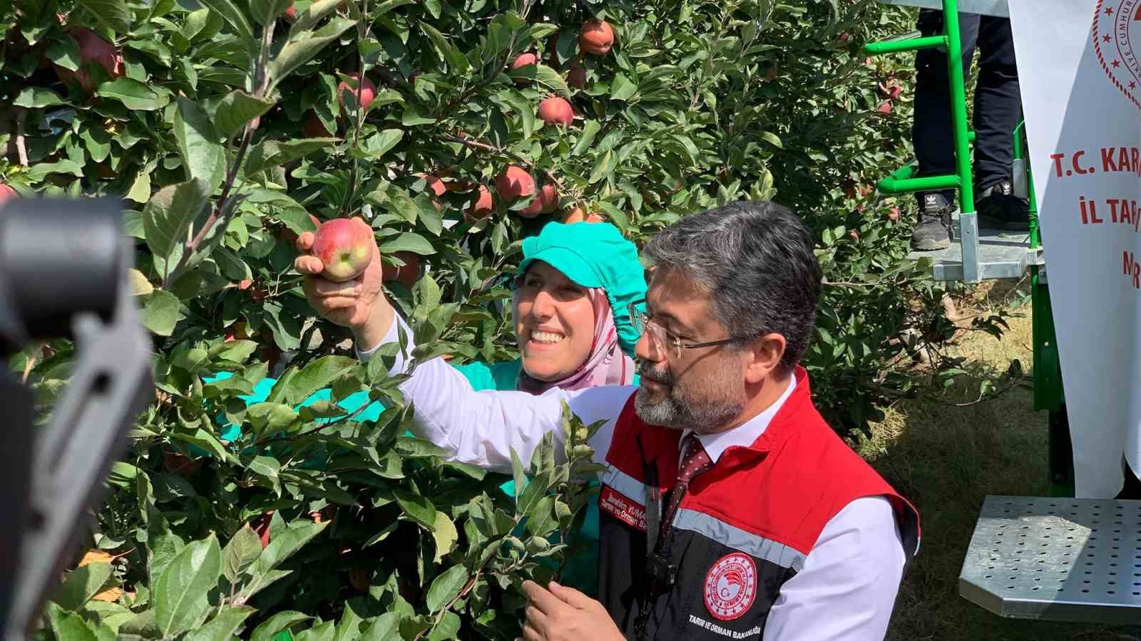 Tarım ve Orman Bakanı Yumaklı, Karaman’da elma hasadı yaptı
