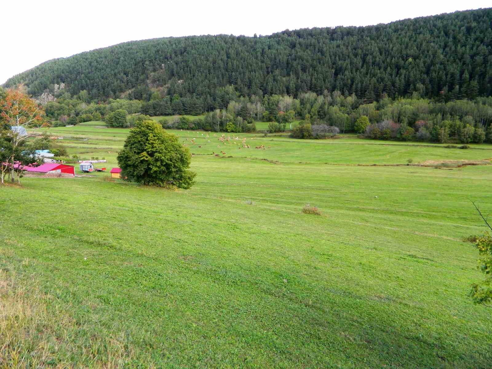 Posof’ta bahardan kalma günler
