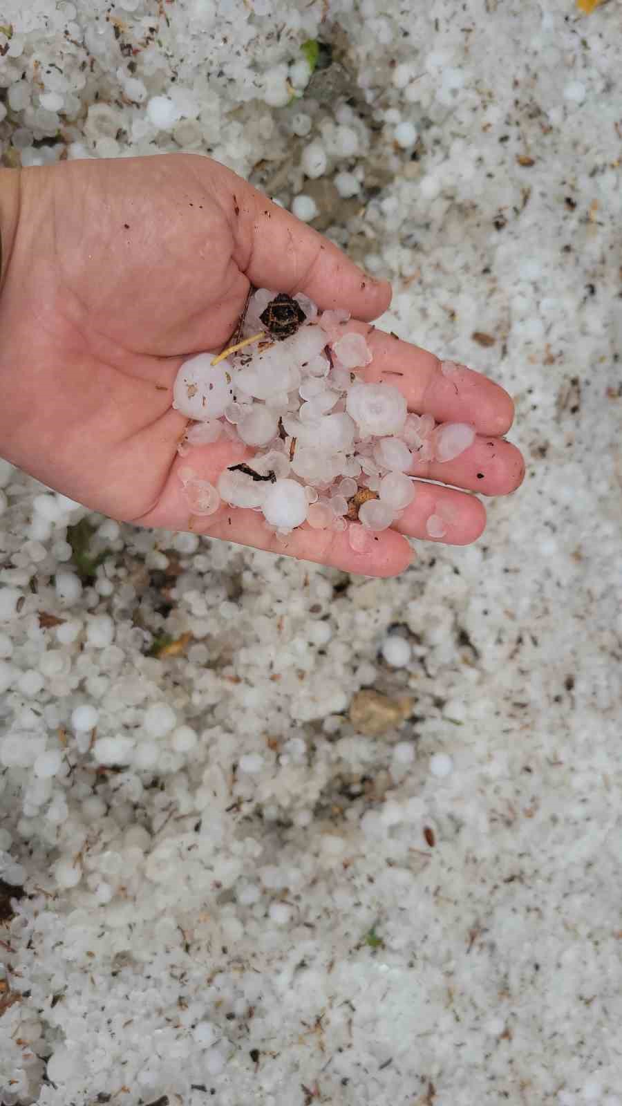 Adıyaman’da dolu yağışı
