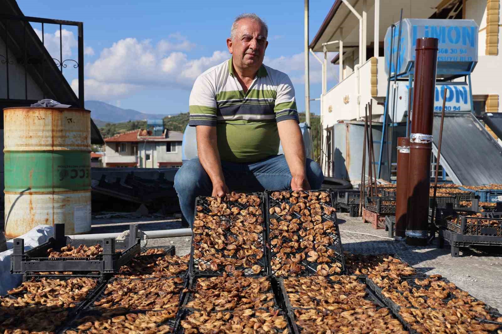 Çiftçinin domuzlardan kurtarabildiği kuru incir, 300 ila 350 TL arasında alıcı buluyor
