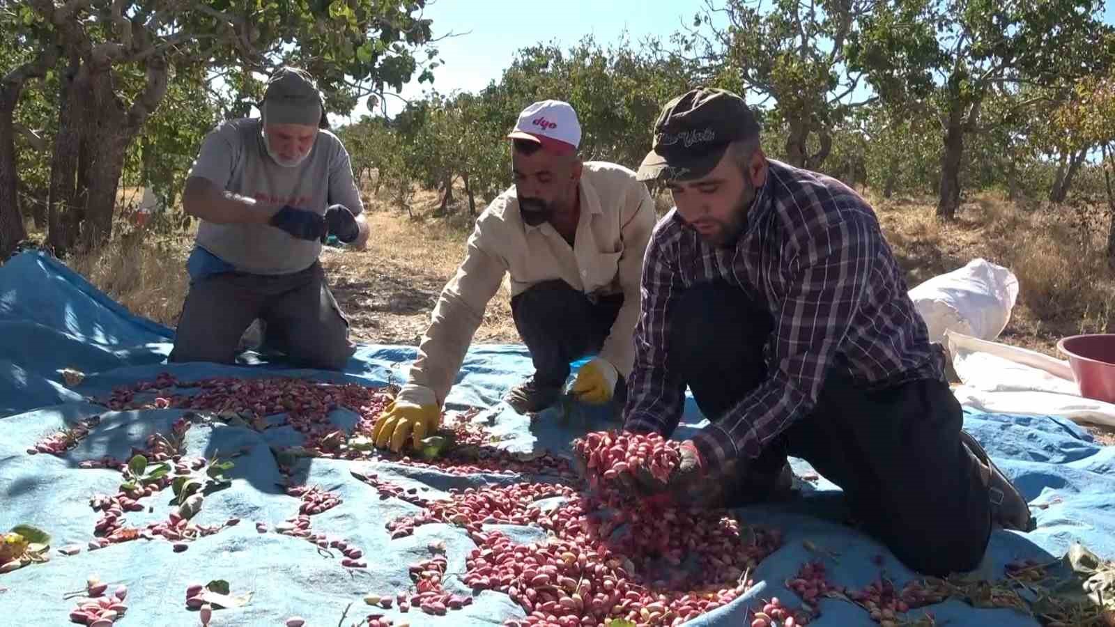 Elazığ’dan Gaziantep’e ’fıstıklı’ gözdağı
