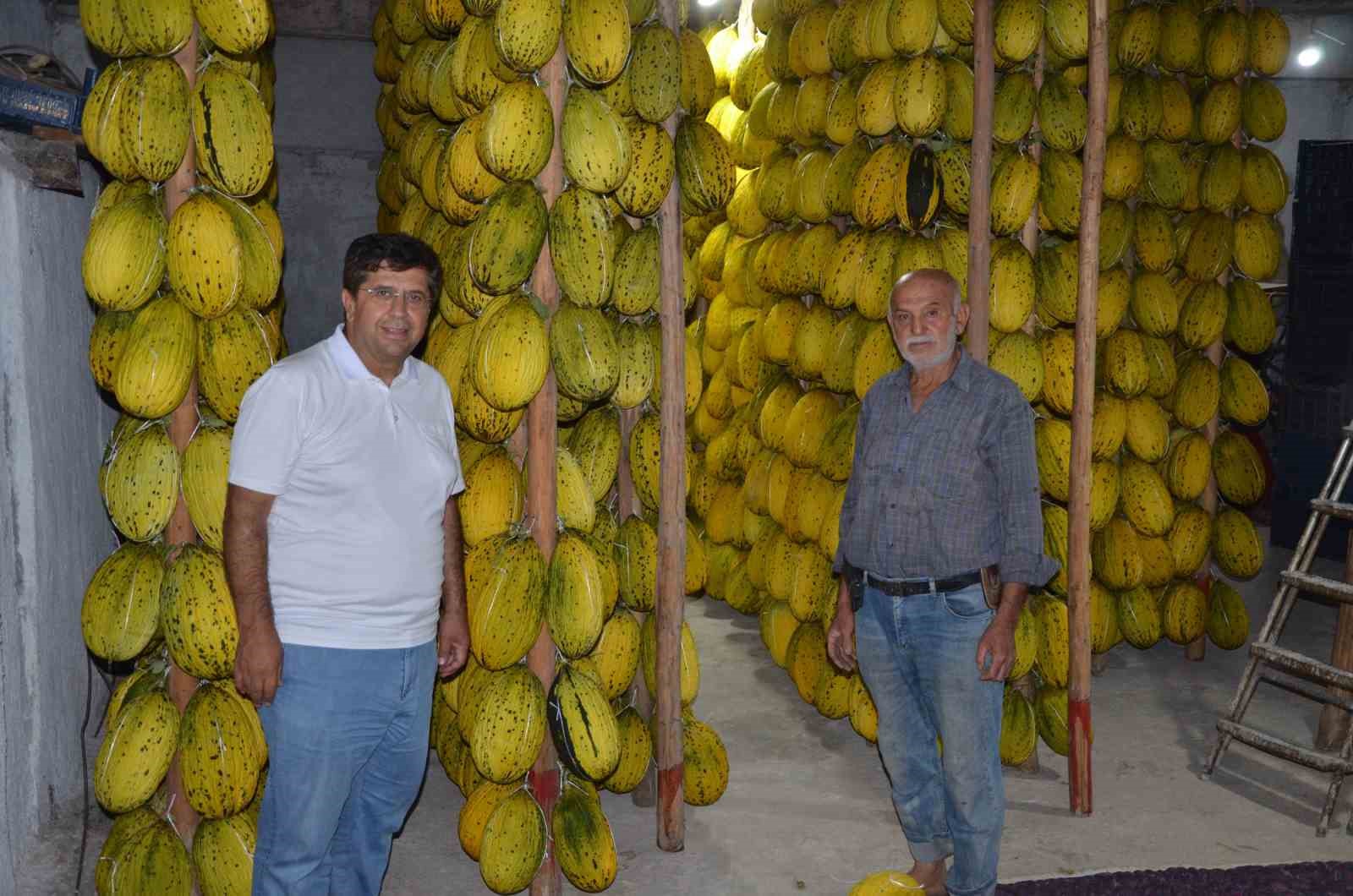 Tescilli Kırkağaç kavunları kış sofraları için askıya alınıyor
