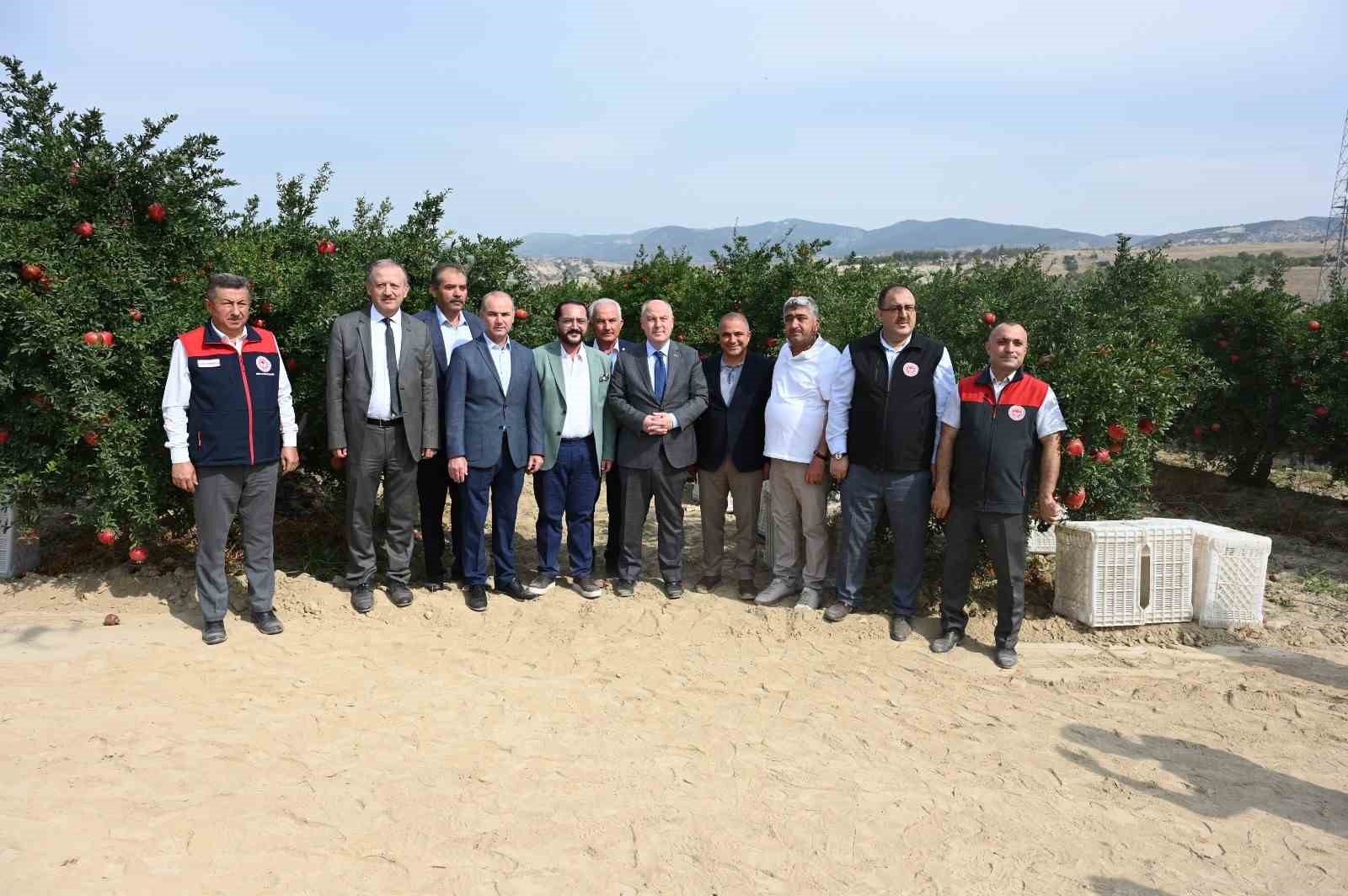 Denizli’de bu yıl 50 bin tonun üzerinde nar hasadı bekleniyor
