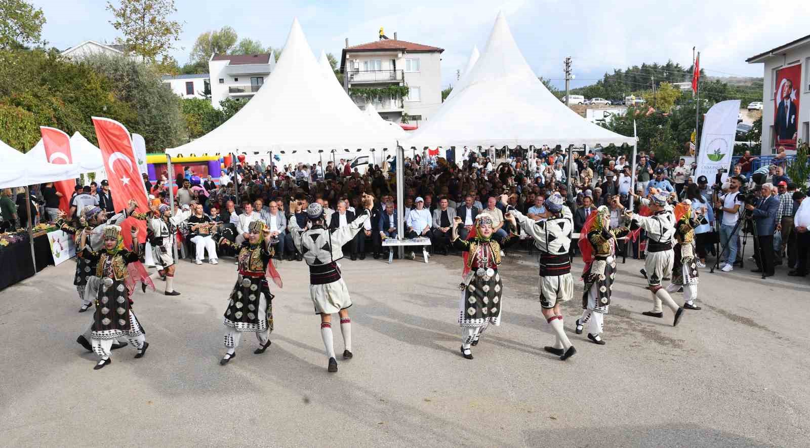 Osmangazi’nin en güzel üzümleri seçildi
