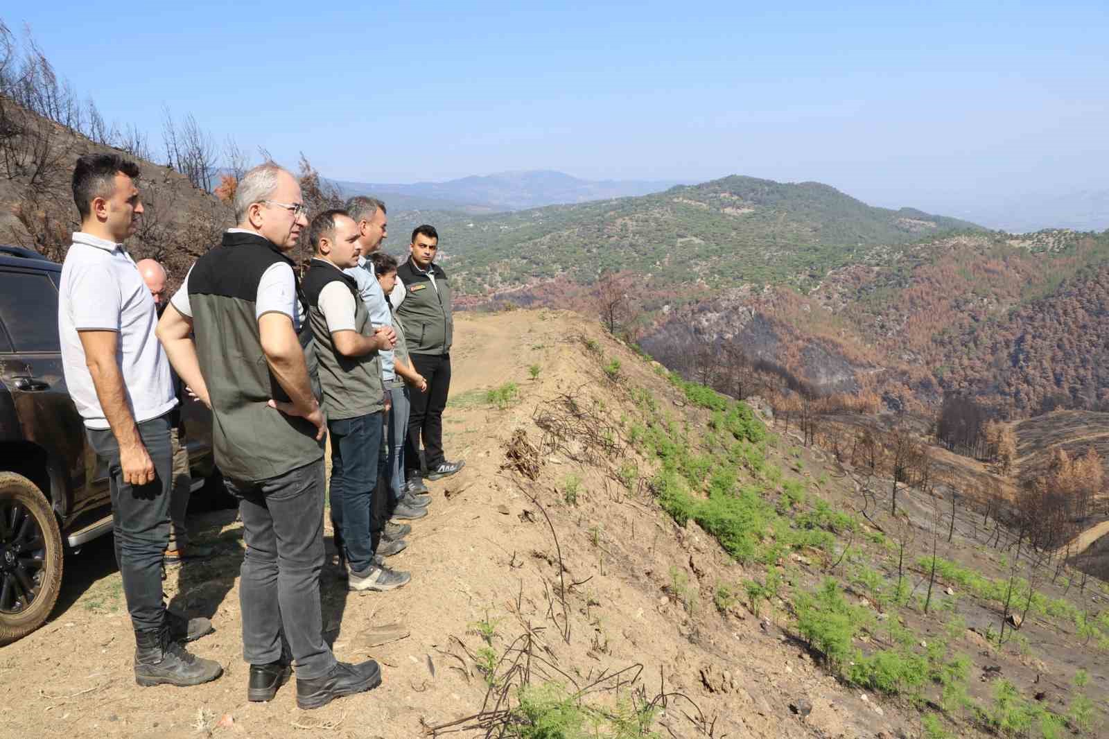 Bozdoğan’da yanan ormanlık alanda incelemelerde bulunuldu
