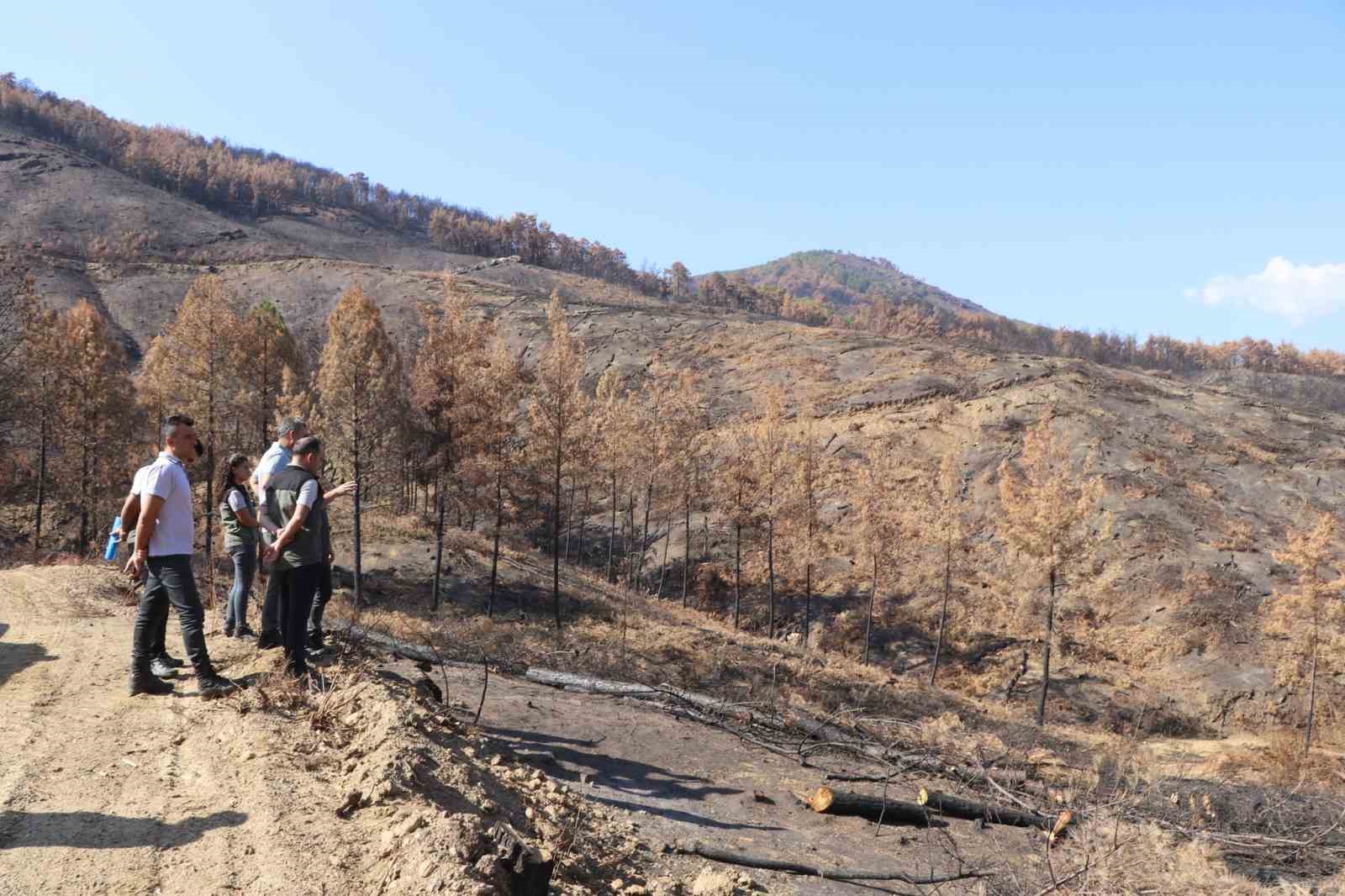 Bozdoğan’da yanan ormanlık alanda incelemelerde bulunuldu
