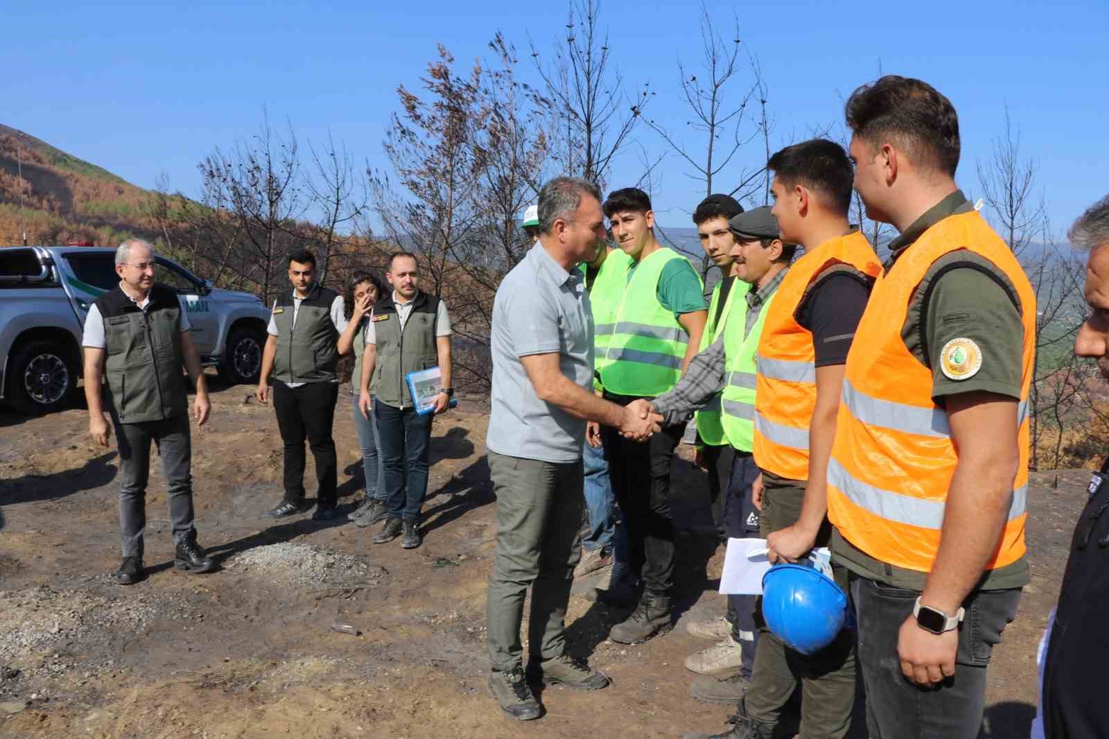 Bozdoğan’da yanan ormanlık alanda incelemelerde bulunuldu
