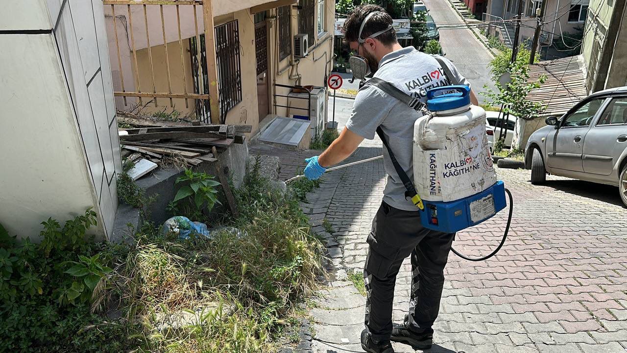 Kağıthane’de sinek ve haşerelere karşı tam zamanlı mücadele
