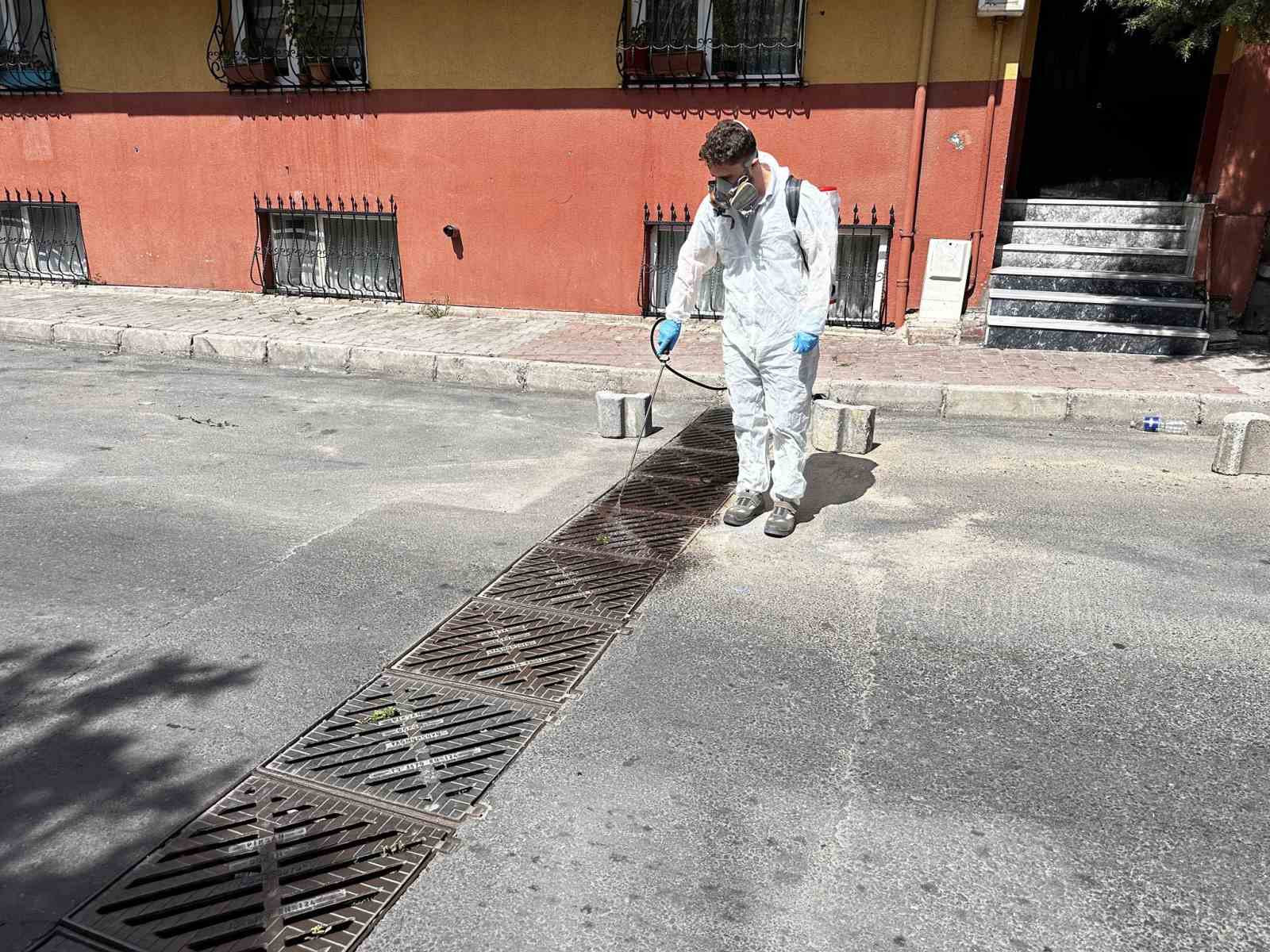 Kağıthane’de sinek ve haşerelere karşı tam zamanlı mücadele
